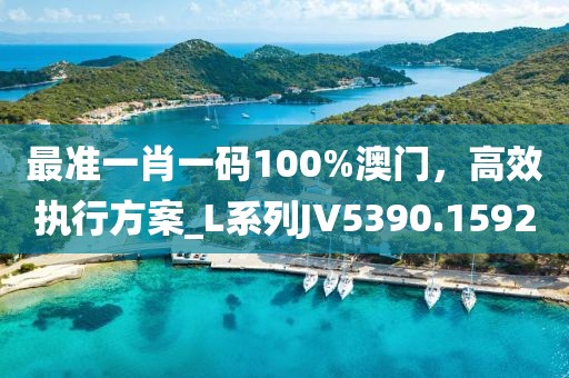 最准一肖一码100%澳门，高效执行方案_L系列JV5390.1592