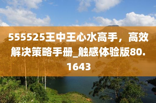 555525王中王心水高手，高效解决策略手册_触感体验版80.1643