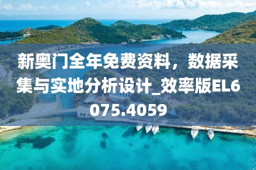 新奥门全年免费资料，数据采集与实地分析设计_效率版EL6075.4059