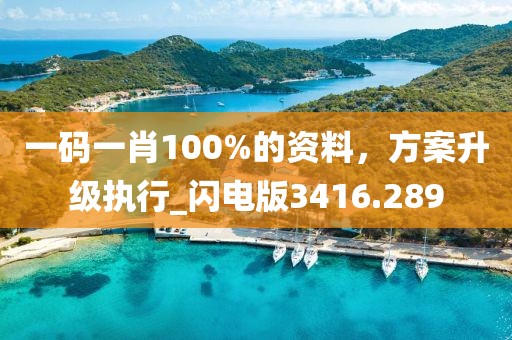 一码一肖100%的资料，方案升级执行_闪电版3416.289