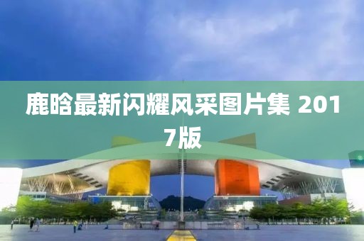 鹿晗最新闪耀风采图片集 2017版