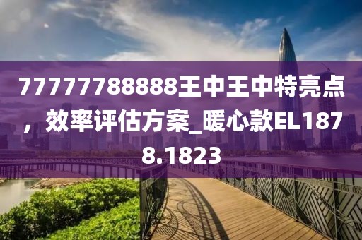 77777788888王中王中特亮点，效率评估方案_暖心款EL1878.1823