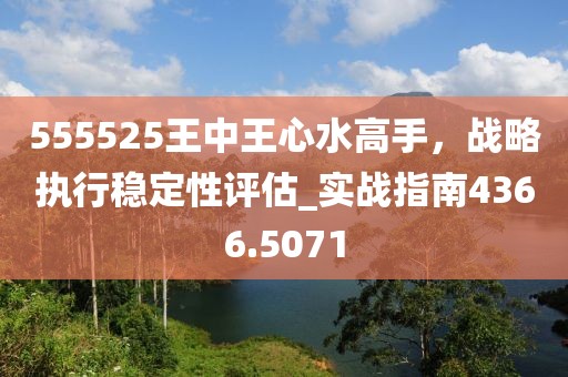 555525王中王心水高手，战略执行稳定性评估_实战指南4366.5071