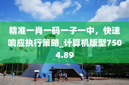 精准一肖一码一子一中，快速响应执行策略_计算机版型7504.89