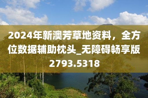 2024年新澳芳草地资料，全方位数据辅助枕头_无障碍畅享版2793.5318