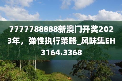 7777788888新澳门开奖2023年，弹性执行策略_风味集EH3164.3368