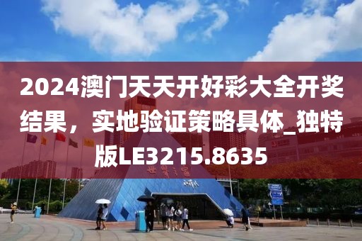 2024澳门天天开好彩大全开奖结果，实地验证策略具体_独特版LE3215.8635