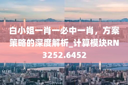 白小姐一肖一必中一肖，方案策略的深度解析_计算模块RN3252.6452