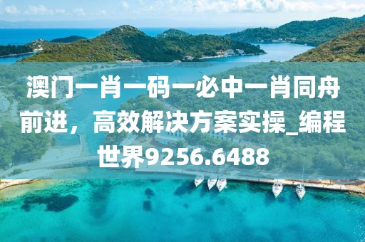 澳门一肖一码一必中一肖同舟前进，高效解决方案实操_编程世界9256.6488