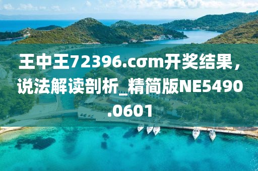 王中王72396.cσm开奖结果，说法解读剖析_精简版NE5490.0601