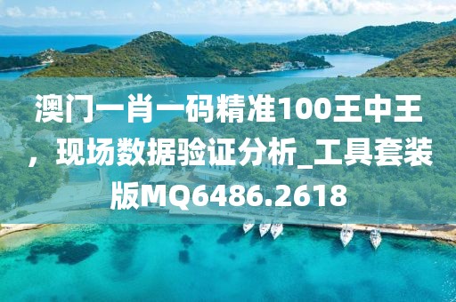澳门一肖一码精准100王中王，现场数据验证分析_工具套装版MQ6486.2618