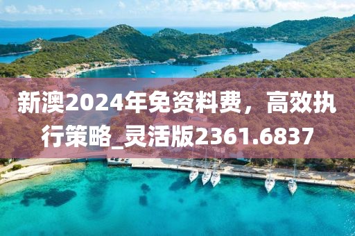 新澳2024年免资料费，高效执行策略_灵活版2361.6837