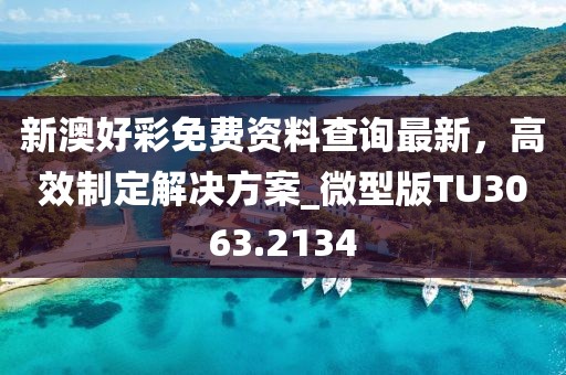 新澳好彩免费资料查询最新，高效制定解决方案_微型版TU3063.2134