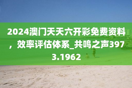 2024澳门天天六开彩免费资料，效率评估体系_共鸣之声3973.1962