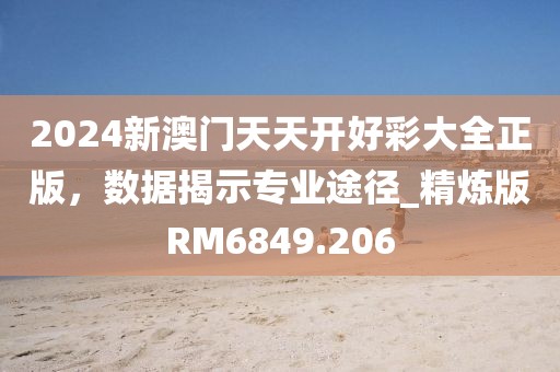 2024新澳门天天开好彩大全正版，数据揭示专业途径_精炼版RM6849.206