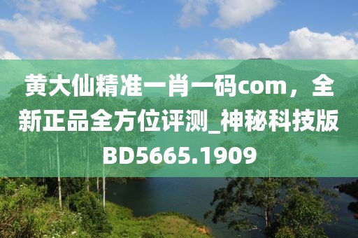 黄大仙精准一肖一码com，全新正品全方位评测_神秘科技版BD5665.1909