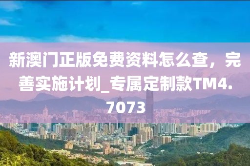 新澳门正版免费资料怎么查，完善实施计划_专属定制款TM4.7073