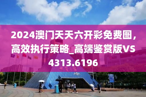 2024澳门天天六开彩免费图，高效执行策略_高端鉴赏版VS4313.6196