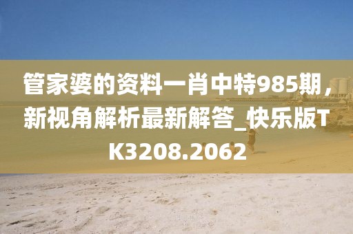 管家婆的资料一肖中特985期，新视角解析最新解答_快乐版TK3208.2062