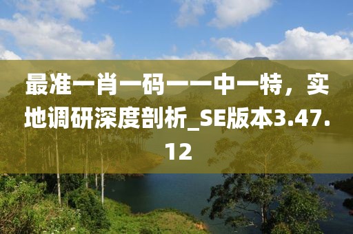最准一肖一码一一中一特，实地调研深度剖析_SE版本3.47.12