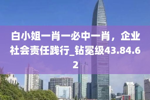 白小姐一肖一必中一肖，企业社会责任践行_钻冕级43.84.62