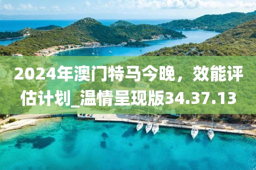 2024年澳门特马今晚，效能评估计划_温情呈现版34.37.13