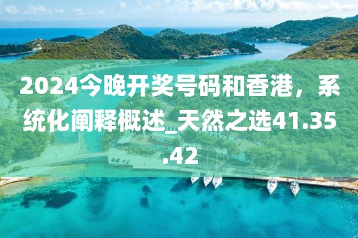 2024今晚开奖号码和香港，系统化阐释概述_天然之选41.35.42
