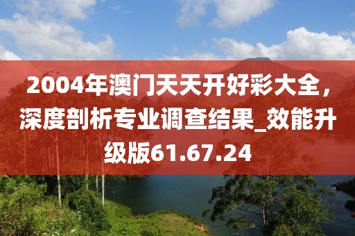 2004年澳门天天开好彩大全，深度剖析专业调查结果_效能升级版61.67.24
