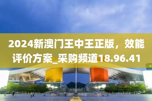 2024新澳门王中王正版，效能评价方案_采购频道18.96.41
