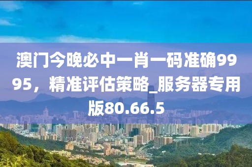 澳门今晚必中一肖一码准确9995，精准评估策略_服务器专用版80.66.5