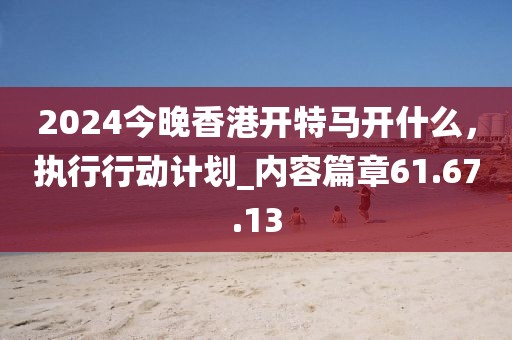2024今晚香港开特马开什么，执行行动计划_内容篇章61.67.13