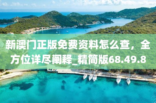 新澳门正版免费资料怎么查，全方位详尽阐释_精简版68.49.80