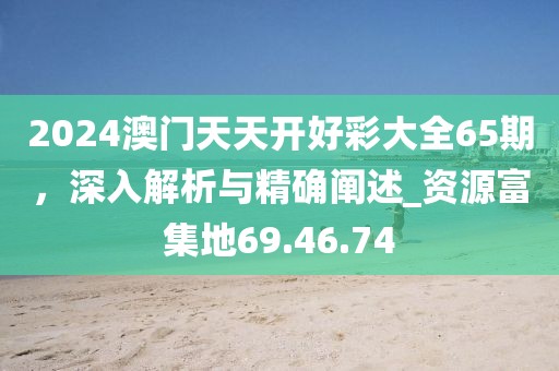 2024澳门天天开好彩大全65期，深入解析与精确阐述_资源富集地69.46.74