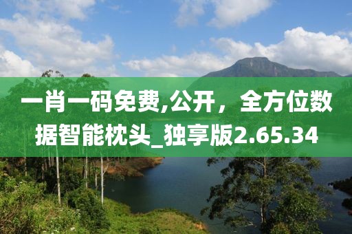 一肖一码免费,公开，全方位数据智能枕头_独享版2.65.34