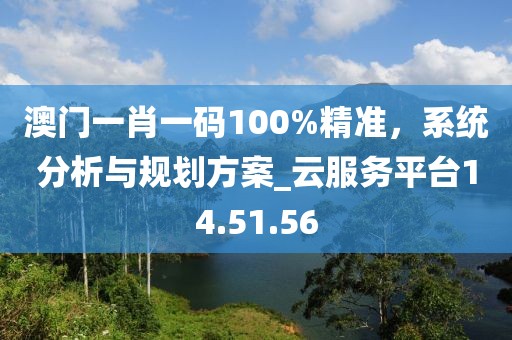 澳门一肖一码100%精准，系统分析与规划方案_云服务平台14.51.56