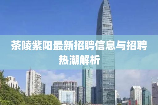 茶陵紫阳最新招聘信息与招聘热潮解析
