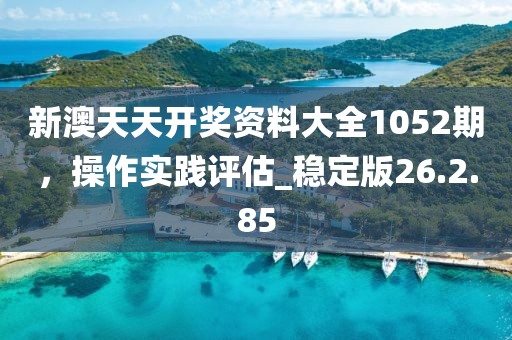 新澳天天开奖资料大全1052期，操作实践评估_稳定版26.2.85