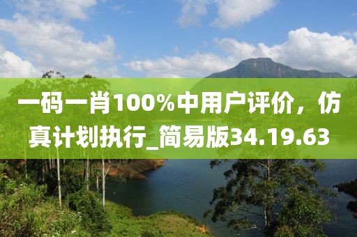 一码一肖100%中用户评价，仿真计划执行_简易版34.19.63