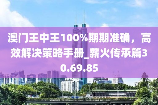 澳门王中王100%期期准确，高效解决策略手册_薪火传承篇30.69.85