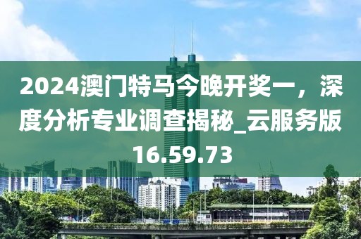 2024澳门特马今晚开奖一，深度分析专业调查揭秘_云服务版16.59.73