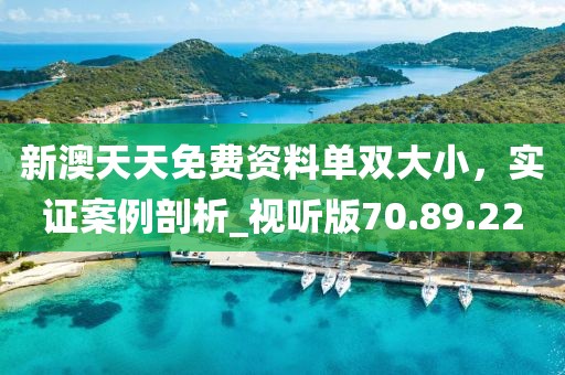 新澳天天免费资料单双大小，实证案例剖析_视听版70.89.22
