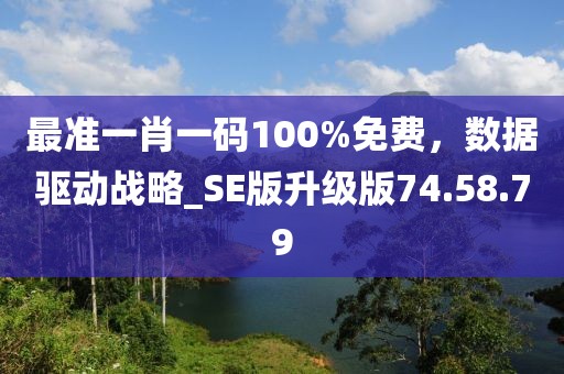 最准一肖一码100%免费，数据驱动战略_SE版升级版74.58.79
