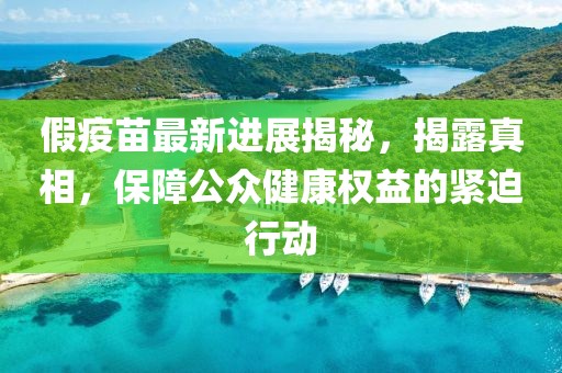 假疫苗最新进展揭秘，揭露真相，保障公众健康权益的紧迫行动