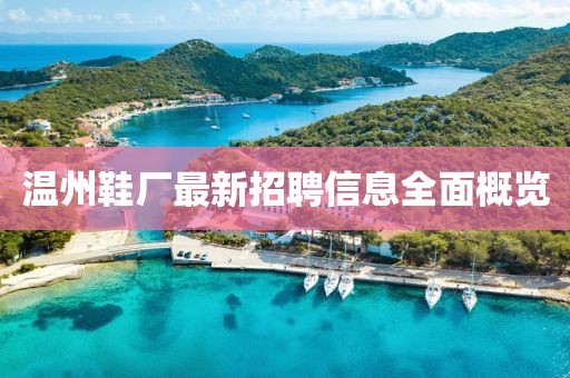 温州鞋厂最新招聘信息全面概览