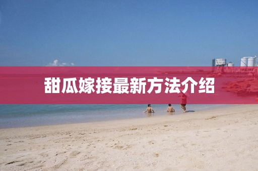 甜瓜嫁接最新方法介绍