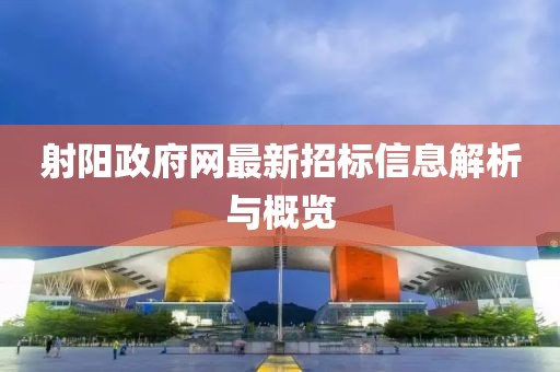 射阳政府网最新招标信息解析与概览