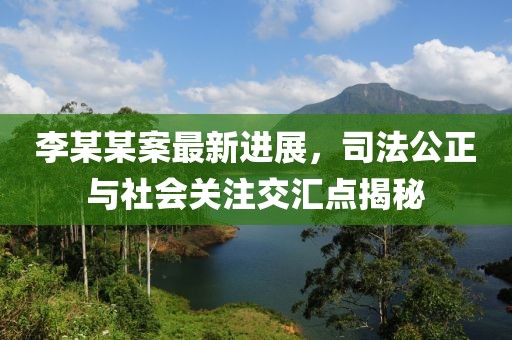 李某某案最新进展，司法公正与社会关注交汇点揭秘