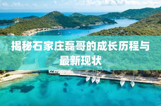 2024年12月 第833页
