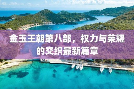 金玉王朝第八部，权力与荣耀的交织最新篇章