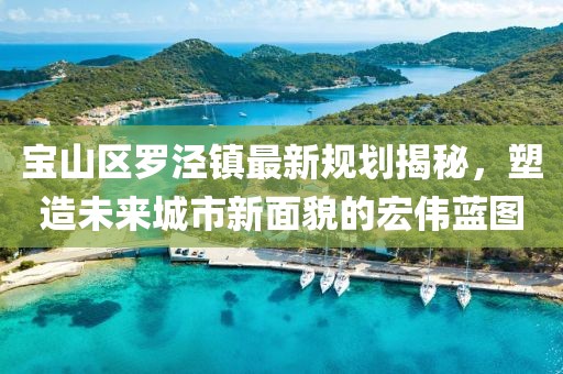 宝山区罗泾镇最新规划揭秘，塑造未来城市新面貌的宏伟蓝图